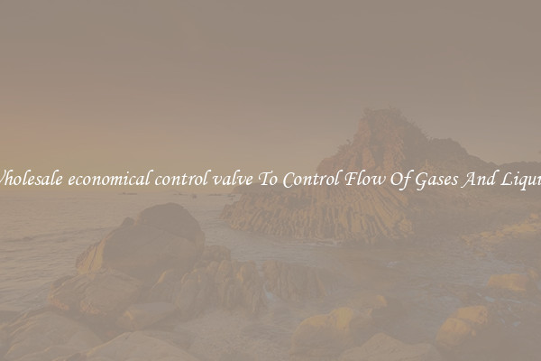 Wholesale economical control valve To Control Flow Of Gases And Liquids