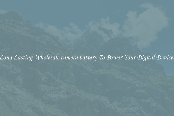 Long Lasting Wholesale camera battery To Power Your Digital Devices