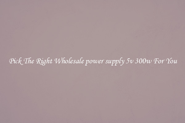Pick The Right Wholesale power supply 5v 300w For You