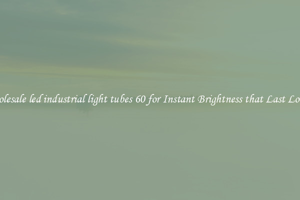 Wholesale led industrial light tubes 60 for Instant Brightness that Last Longer