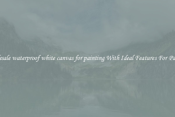 Wholesale waterproof white canvas for painting With Ideal Features For Painting