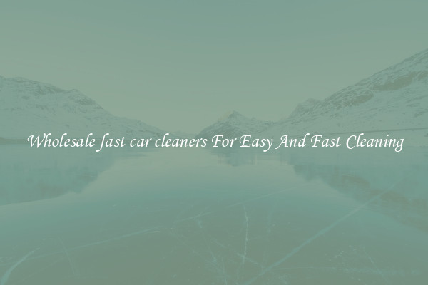 Wholesale fast car cleaners For Easy And Fast Cleaning