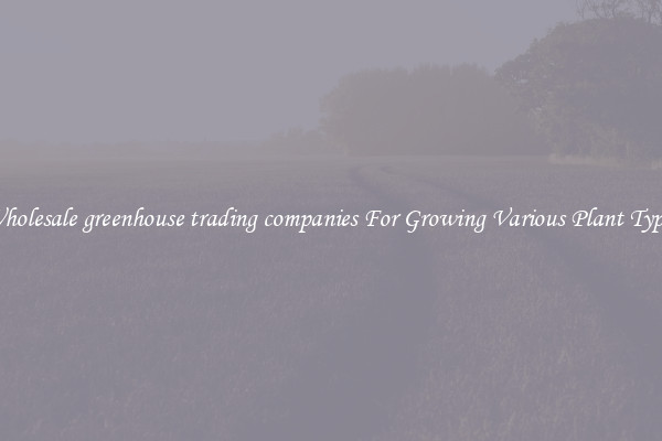 Wholesale greenhouse trading companies For Growing Various Plant Types