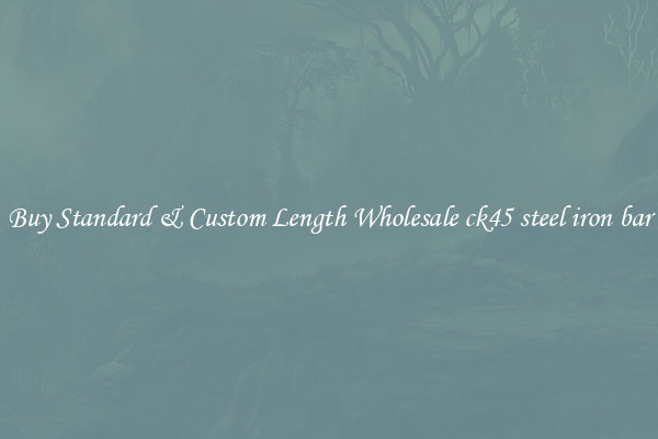 Buy Standard & Custom Length Wholesale ck45 steel iron bar