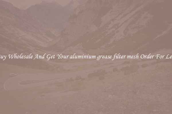 Buy Wholesale And Get Your aluminium grease filter mesh Order For Less