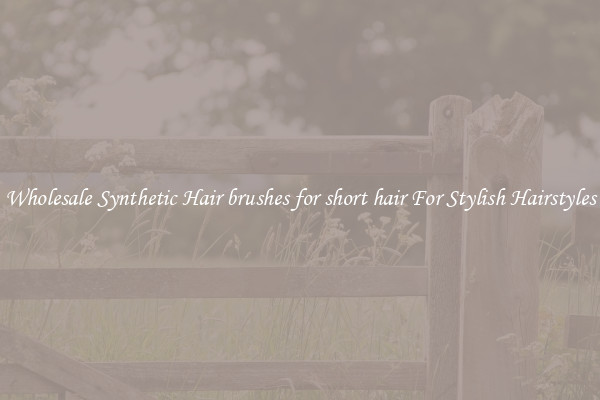 Wholesale Synthetic Hair brushes for short hair For Stylish Hairstyles