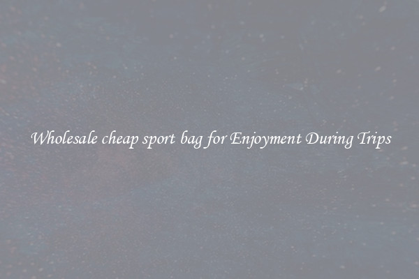 Wholesale cheap sport bag for Enjoyment During Trips