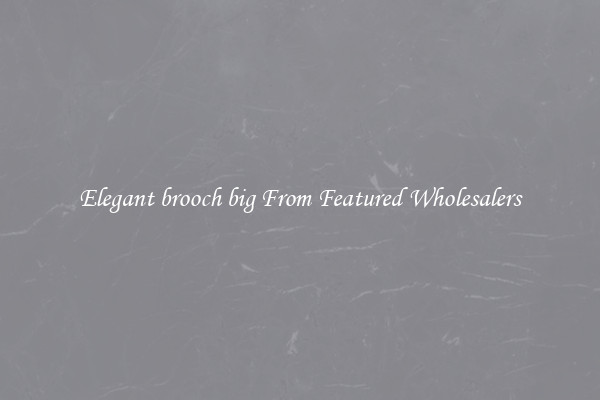 Elegant brooch big From Featured Wholesalers