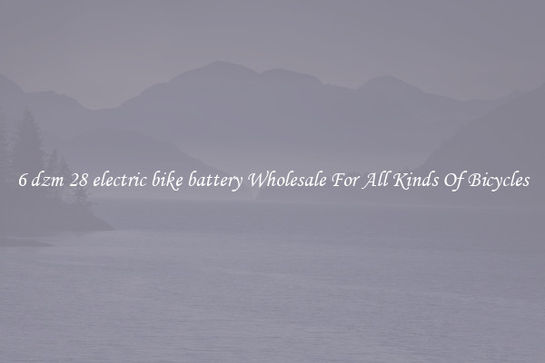 6 dzm 28 electric bike battery Wholesale For All Kinds Of Bicycles
