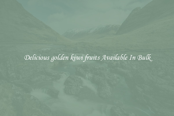 Delicious golden kiwi fruits Available In Bulk