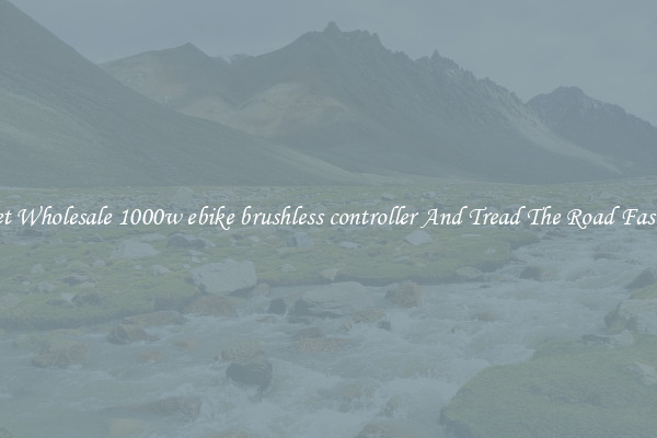 Get Wholesale 1000w ebike brushless controller And Tread The Road Faster