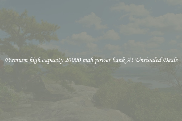 Premium high capacity 20000 mah power bank At Unrivaled Deals