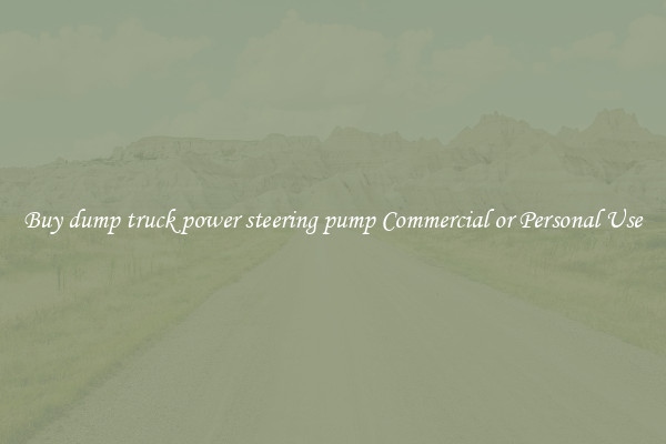 Buy dump truck power steering pump Commercial or Personal Use
