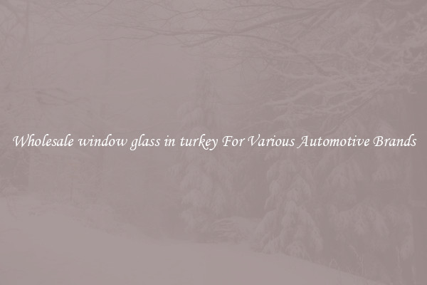 Wholesale window glass in turkey For Various Automotive Brands