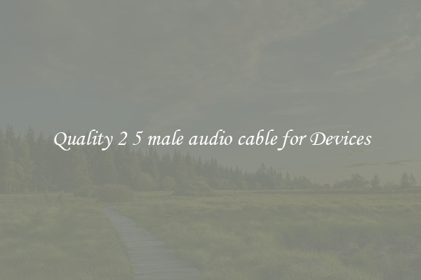 Quality 2 5 male audio cable for Devices