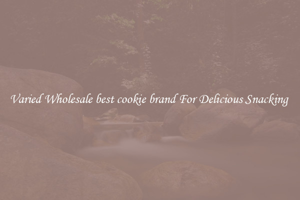 Varied Wholesale best cookie brand For Delicious Snacking 