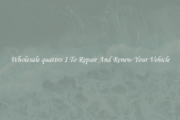 Wholesale quattro 1 To Repair And Renew Your Vehicle