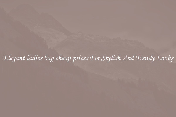 Elegant ladies bag cheap prices For Stylish And Trendy Looks