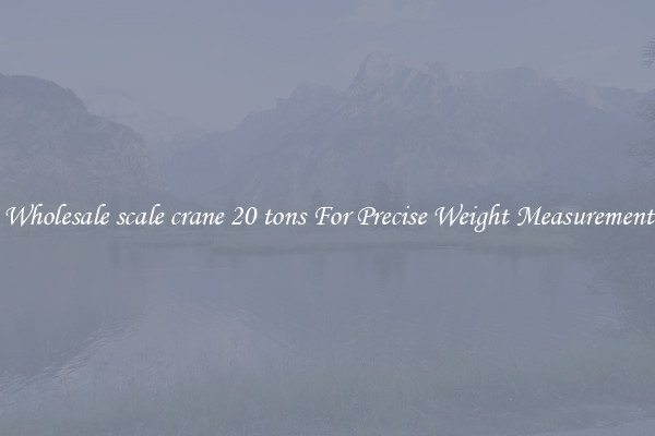 Wholesale scale crane 20 tons For Precise Weight Measurement