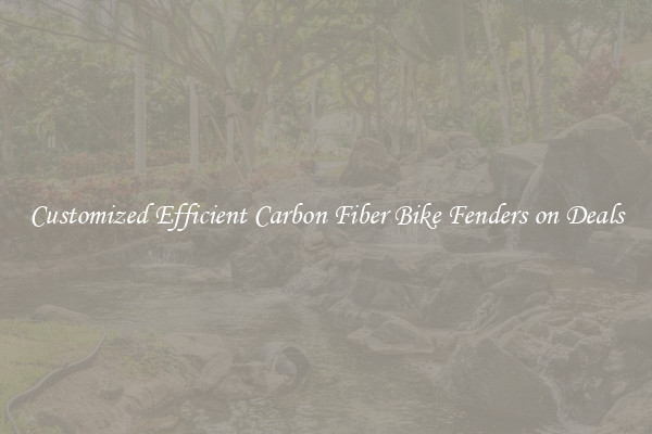 Customized Efficient Carbon Fiber Bike Fenders on Deals