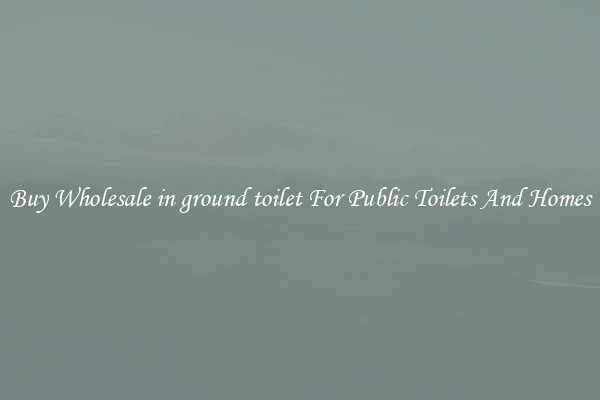 Buy Wholesale in ground toilet For Public Toilets And Homes
